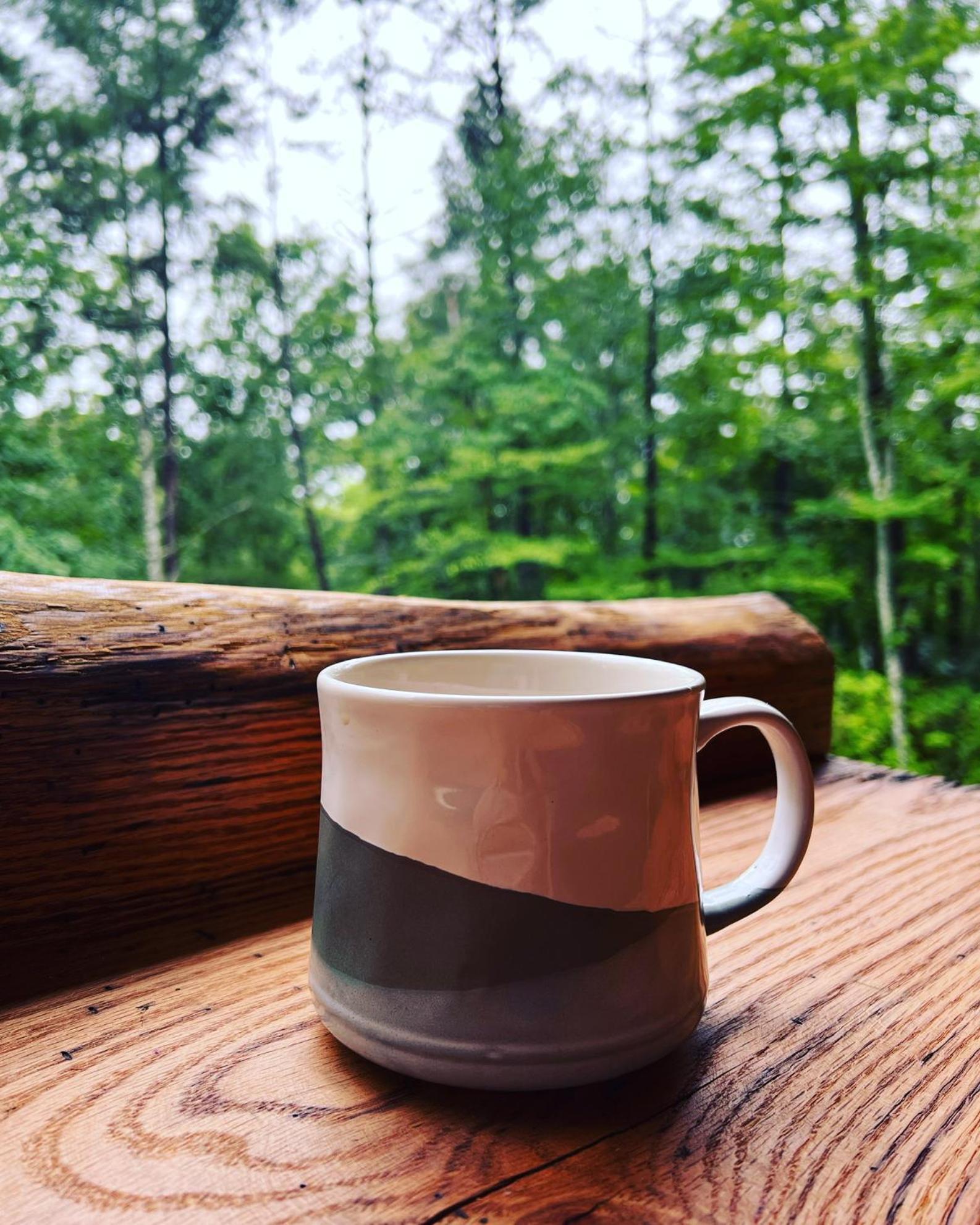 Almost Heaven Mountain Cabin 墨菲 外观 照片